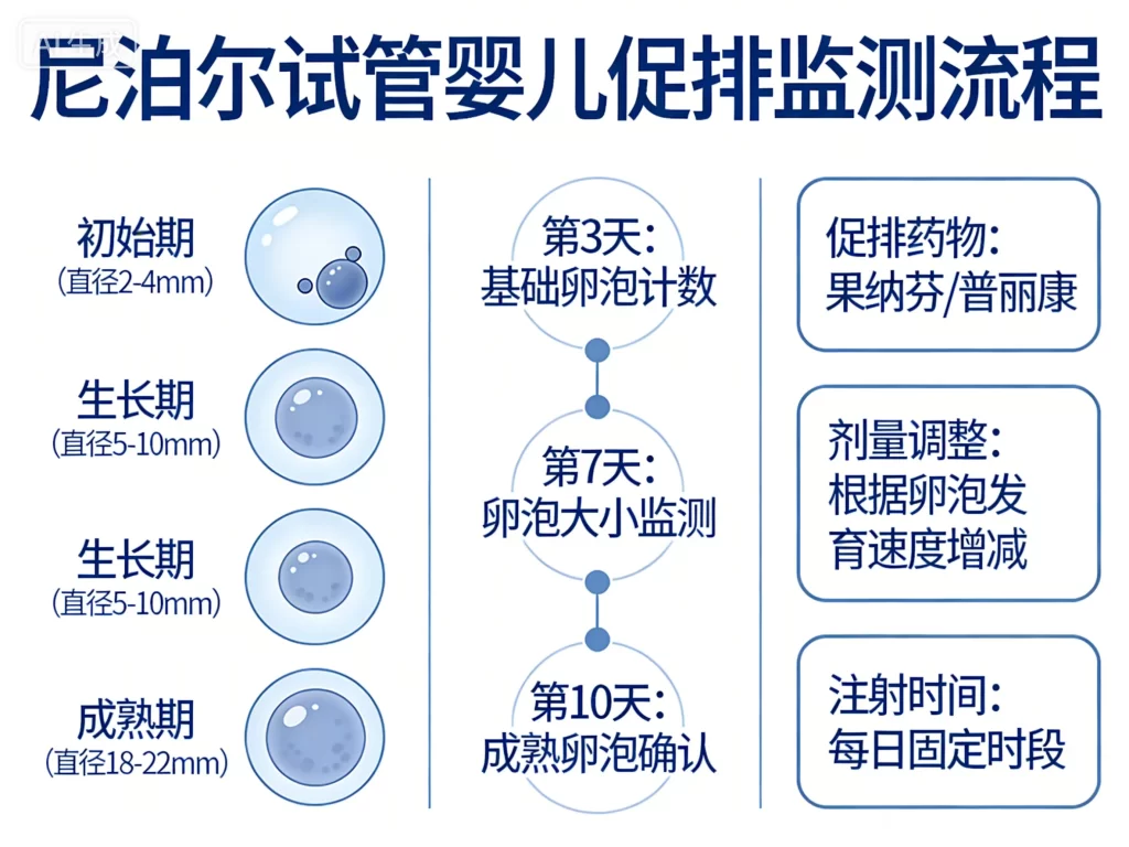 尼泊尔试管婴儿促排监测流程示意图